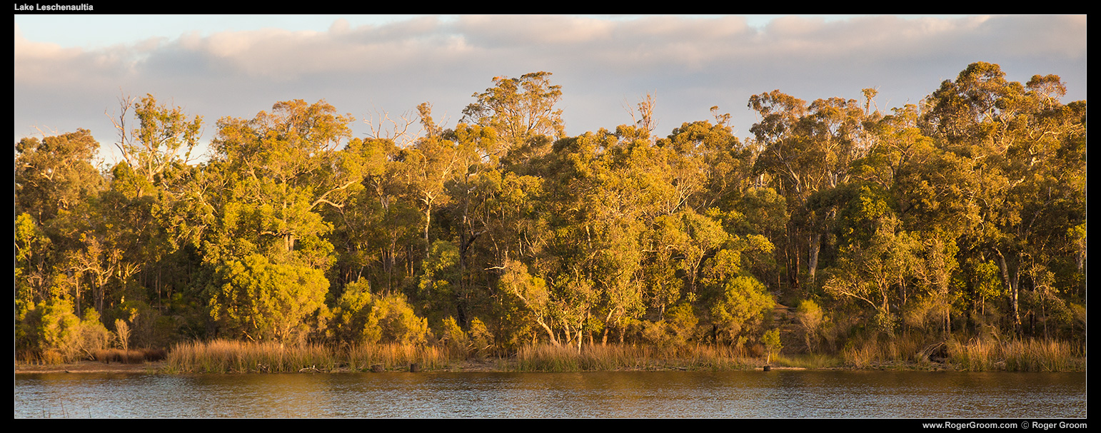 Late afternoonat Lake Leschenaultia