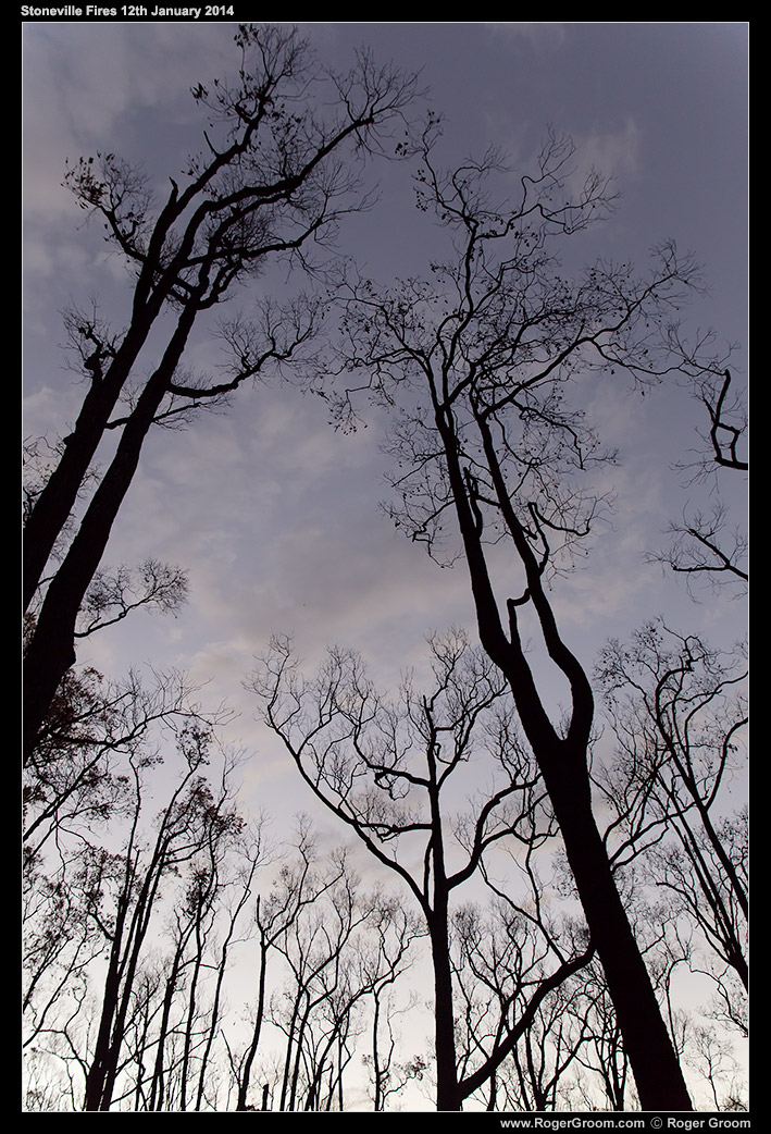 Stoneville Fires of 12th January 2014