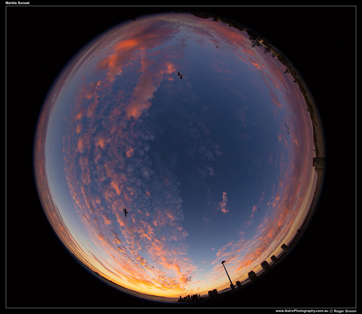 Marble Sunset. A fun fisheye photograph of sunset with seagulls flying overhead.