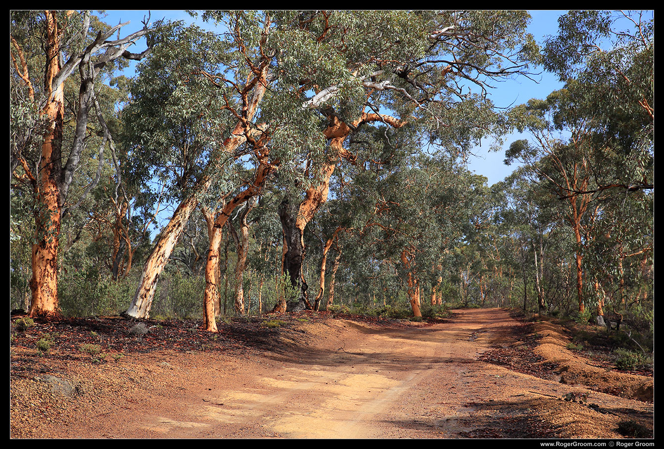 The road winding in to Mt Observation, between Perth and York in the Western Australian Wheatbelt region.