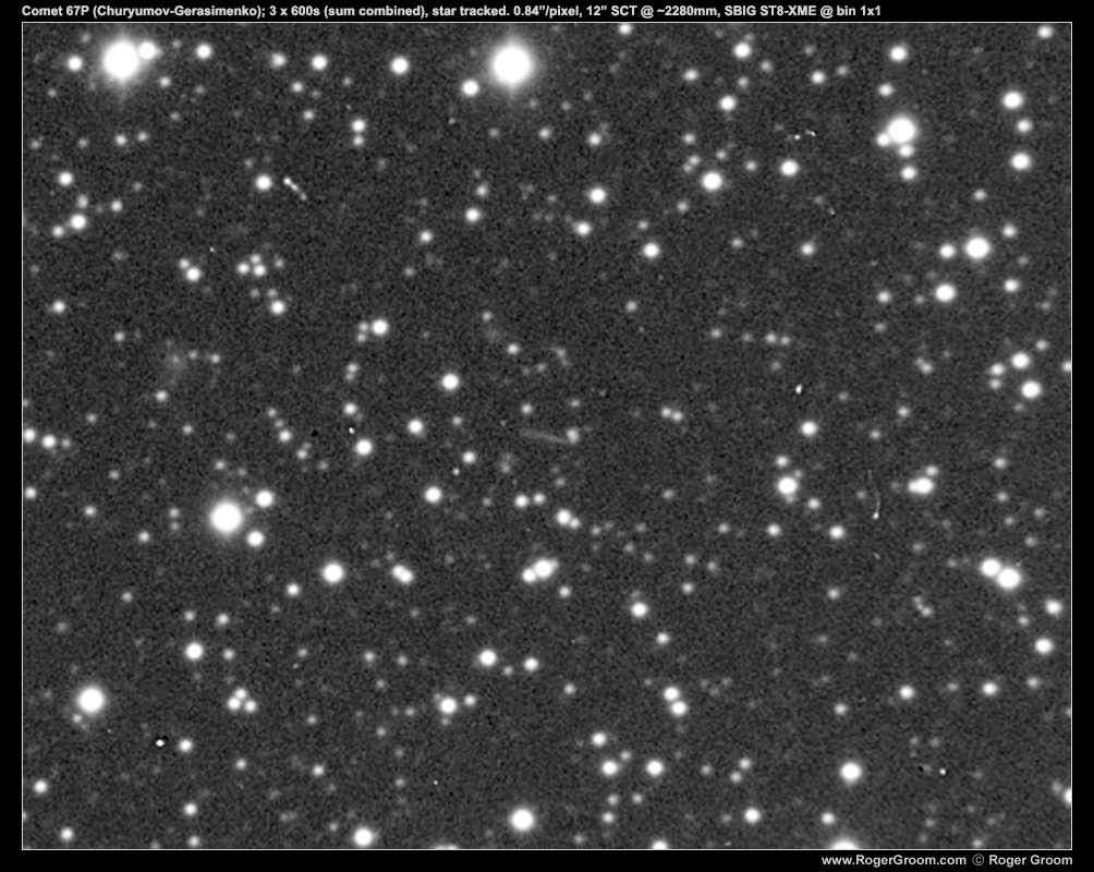 Comet 67P (Churyumov-Gerasimenko); 3 x 600s (sum combined), star tracked. 0.84”/pixel, 12” SCT @ ~2280mm, SBIG ST8-XME @ bin 1x1. Exposure start: 2014-07-17T13:16:02.900 UTC