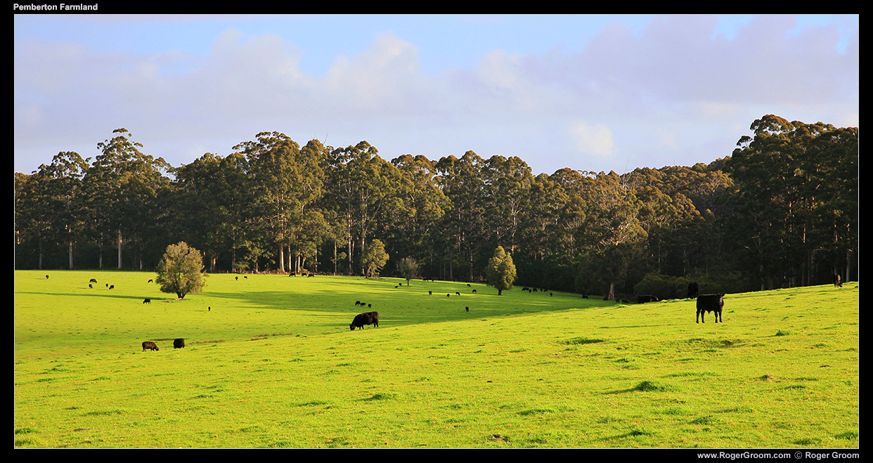 Pemberton Farmland - South-west Western Australia.
