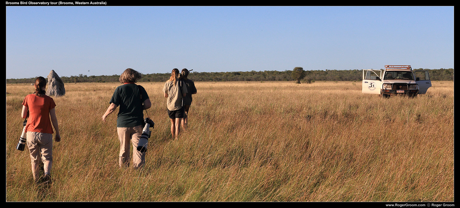 Broome Bird Observatory tour. Endless plains of white canon lenses ... errr ... I mean grass and birds!