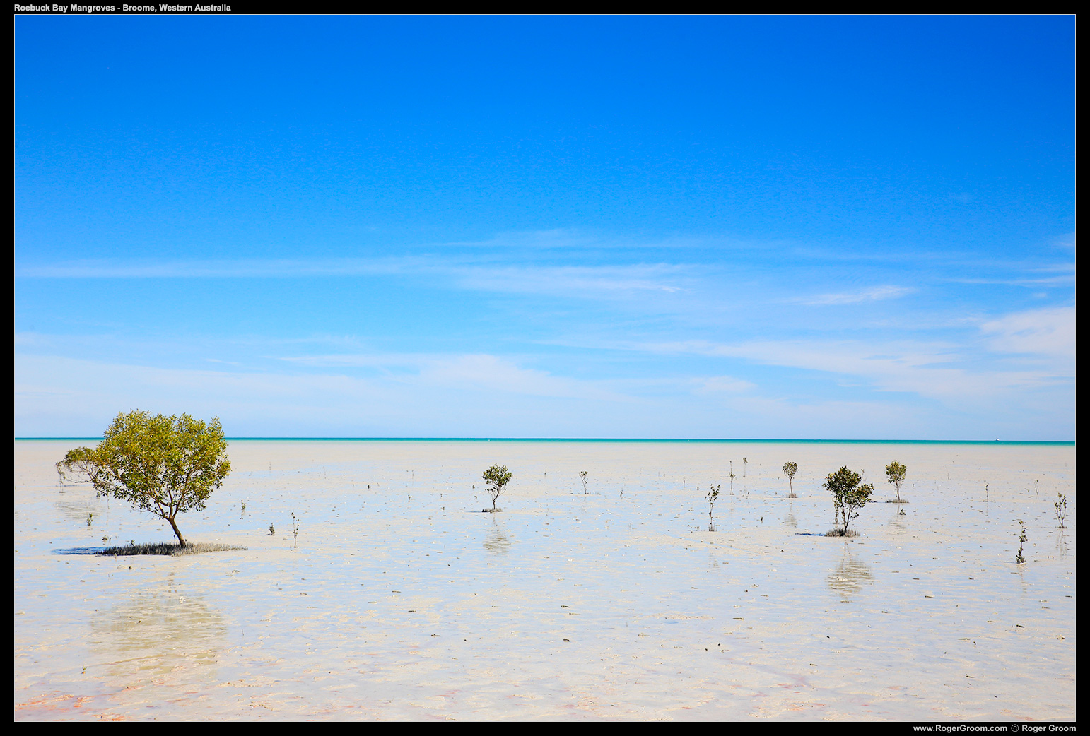 Roebuck Bay Mangroves under the clear blue sky of Broome, Western Australia